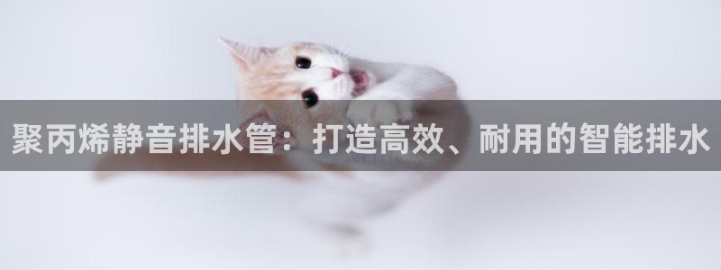 天辰娱乐跑的快