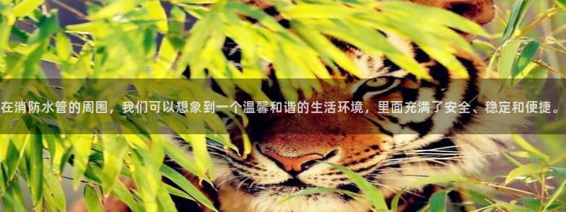 菲律宾天辰娱乐
