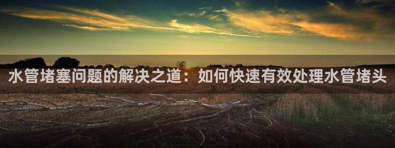 天辰娱乐小姐