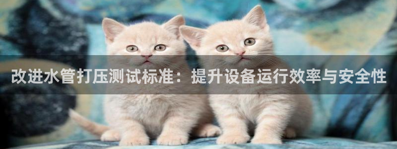 天辰娱乐官