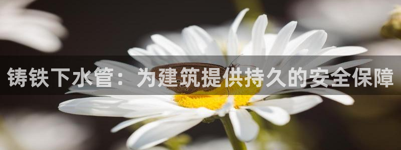 天辰娱乐黑人
