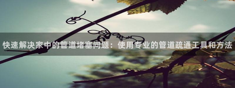 深圳天辰娱乐