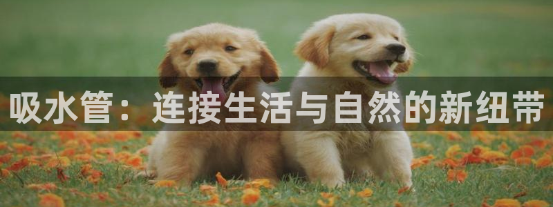 天辰娱乐注册登录