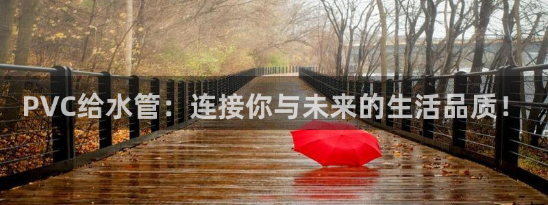 天辰娱乐平台地址在哪里