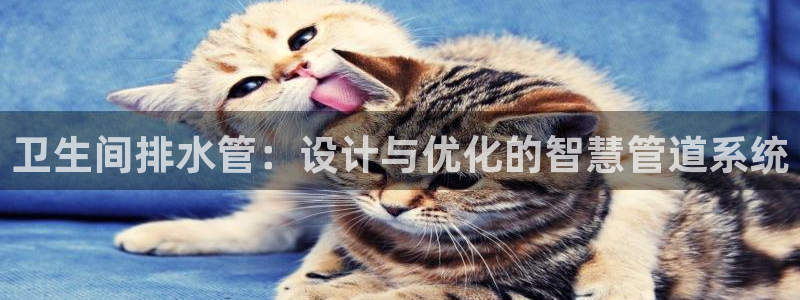 天辰娱乐39974神