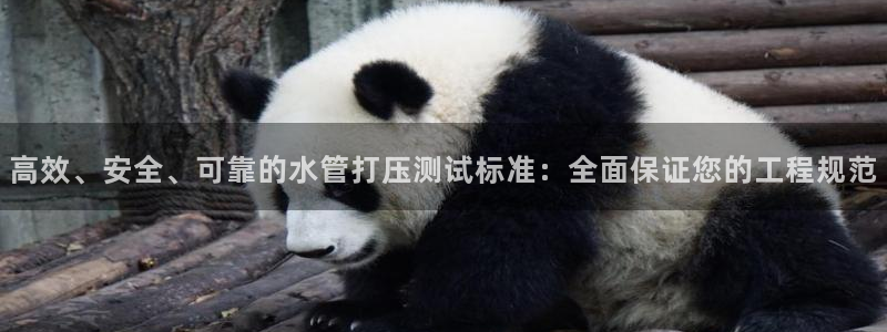天富天辰娱乐