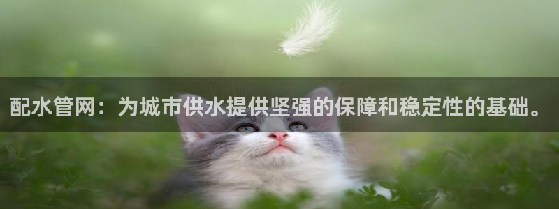 天辰娱乐集团