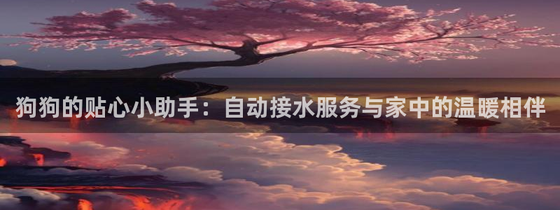 天辰娱乐老板