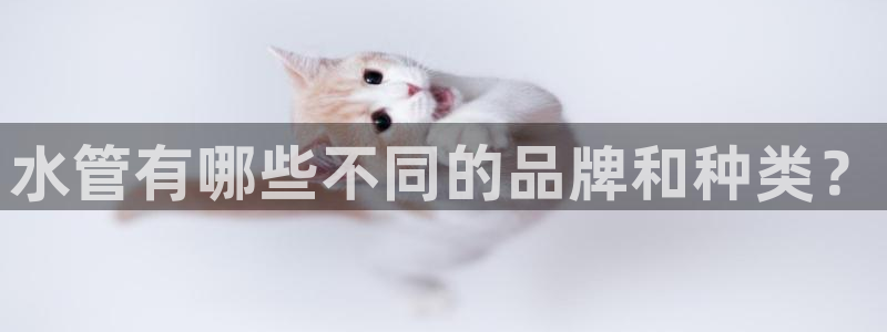 天辰宝娱乐