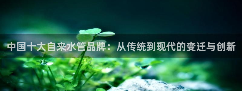 天辰娱乐黑人