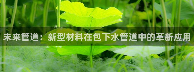 天辰娱乐60447