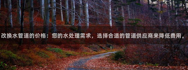 天辰娱乐海洋