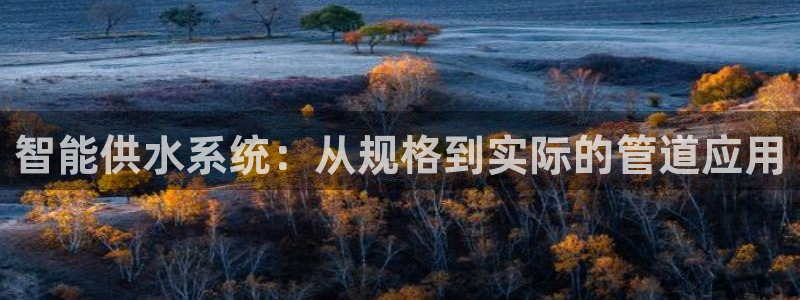 天辰娱乐游客