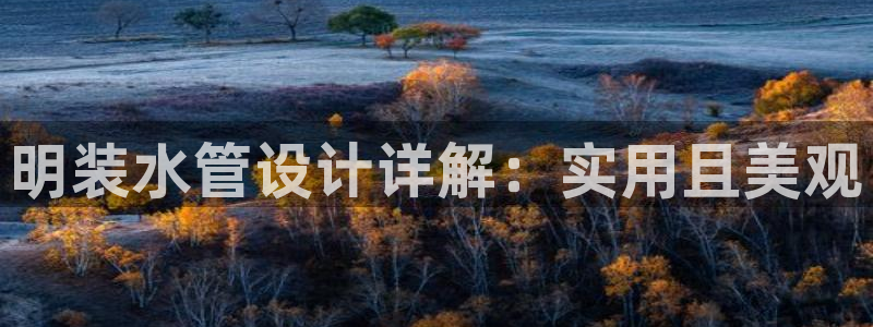 天辰娱乐娱乐