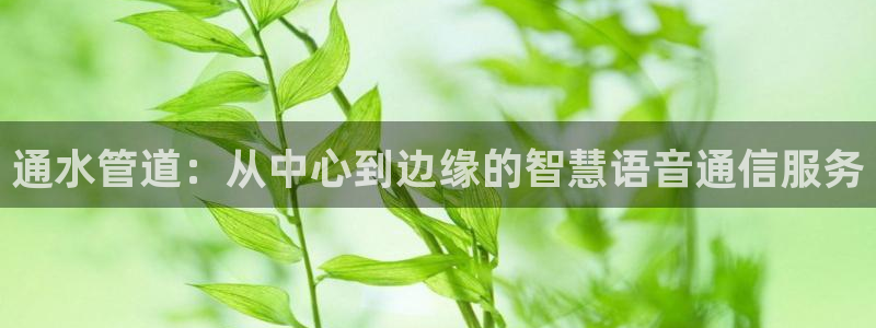 天辰娱乐675138