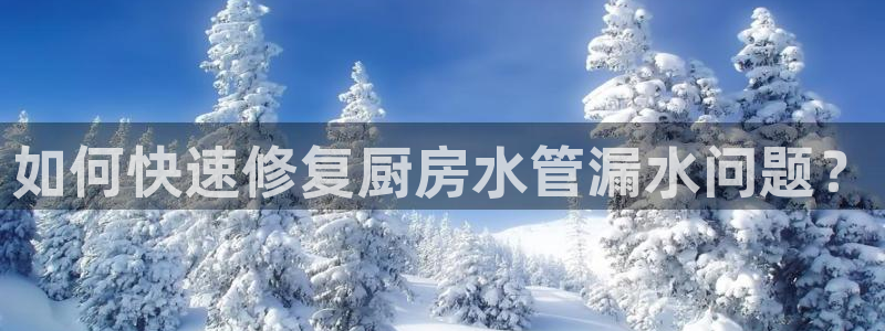 天辰娱乐会所