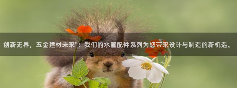 天辰娱乐44616