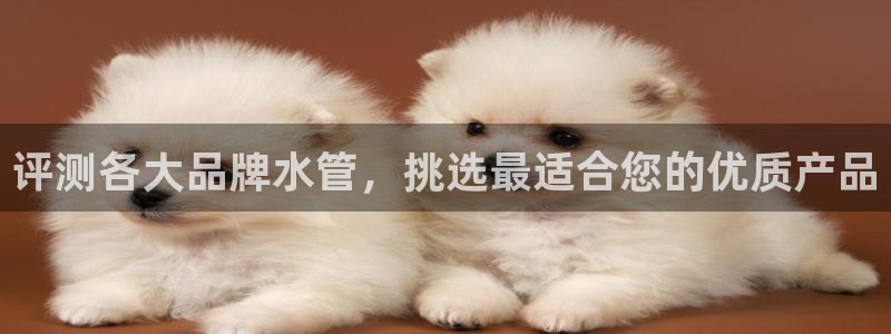 天辰娱乐官方