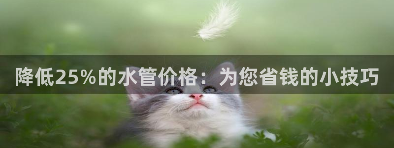 天辰娱乐总管