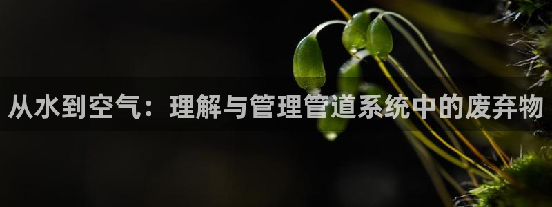 天辰娱乐会员