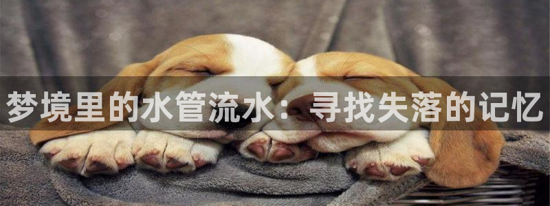 天辰娱乐股东