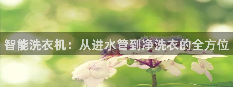 天辰娱乐best