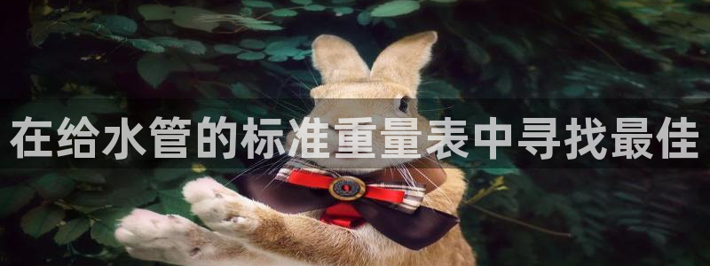 天辰娱乐国际