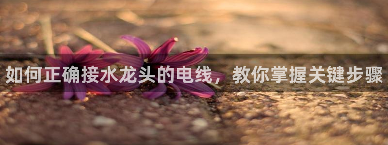 天辰娱乐股东