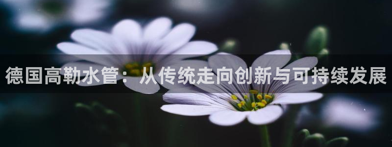 天辰娱乐天辰注册登录