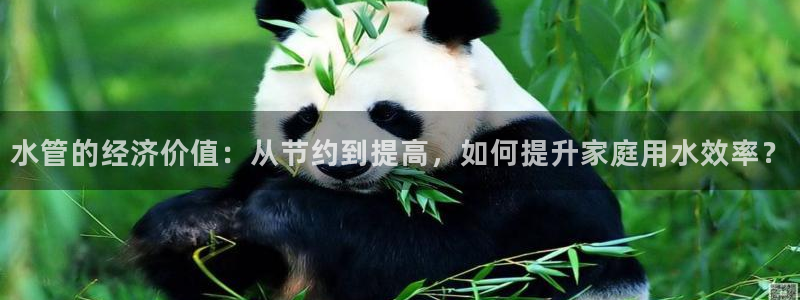 天辰天富娱乐登录