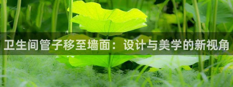 天辰宝宝娱乐
