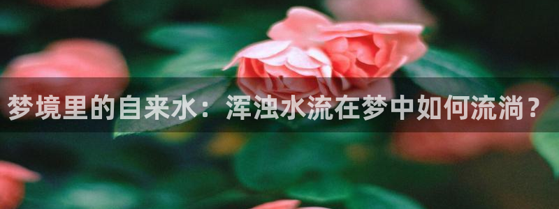 天辰娱乐电话