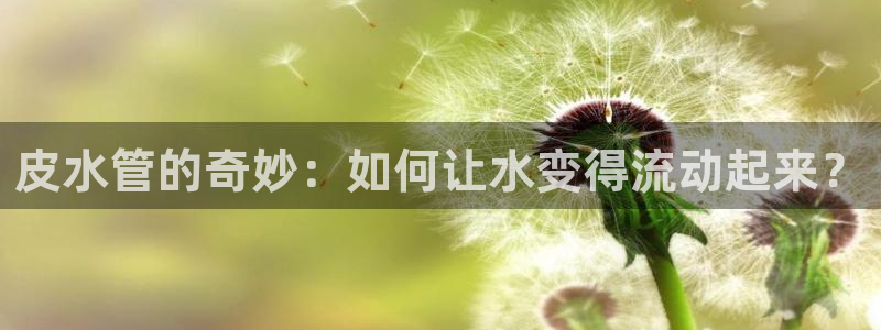 天辰娱乐官网平台下载