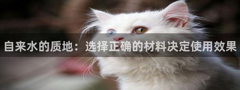 天辰娱乐官方网