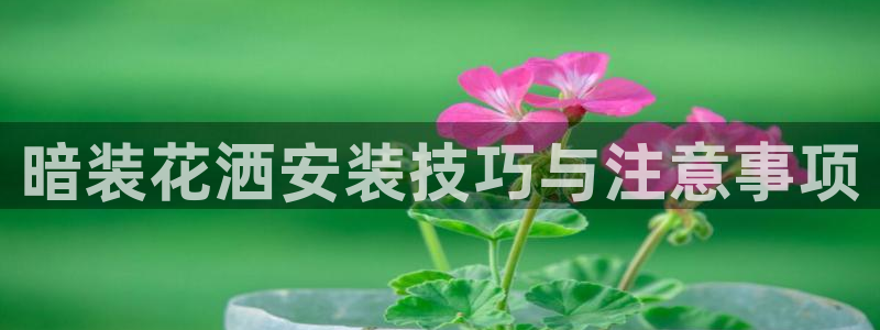 天辰娱乐平台安全吗