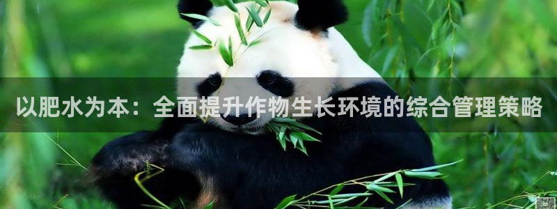 天辰娱乐反水