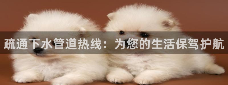 天辰娱乐维护