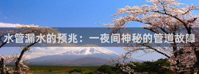 天辰娱乐所