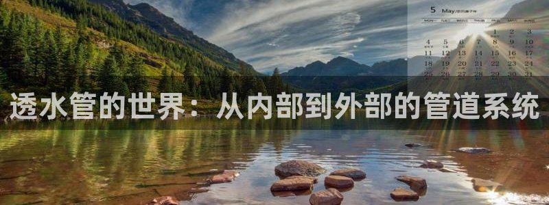 天辰娱乐元宝