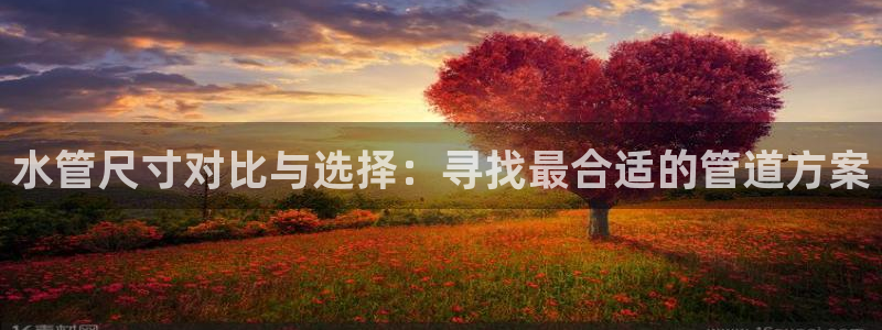 天辰娱乐 849852
