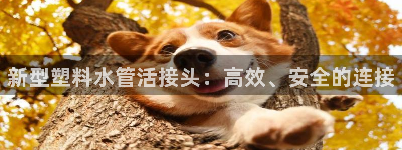 天辰娱乐白屏