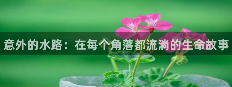 天辰娱乐挂机