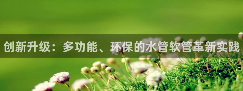 天辰娱乐平台安全吗