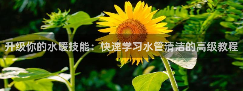 天辰娱乐电话