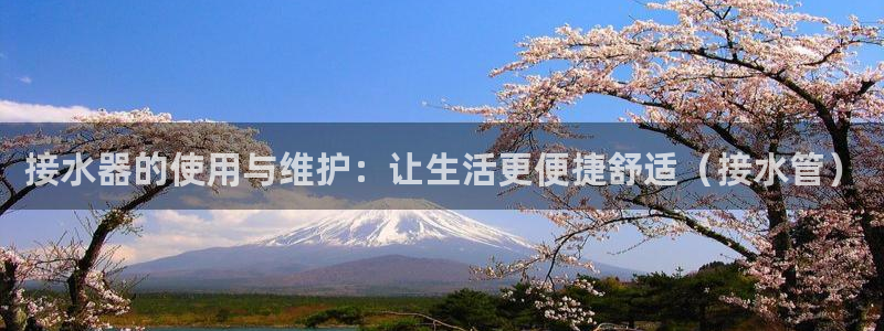 辰天娱乐用品